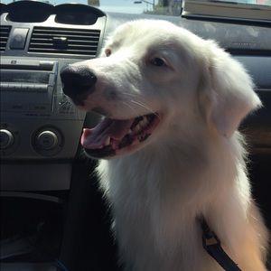 Meet your Posher, Kaylee